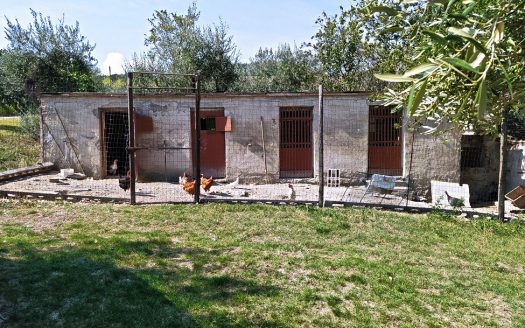 RIF: 749 STAFFOLO – INDIPENDENTE IN BUONO STATO