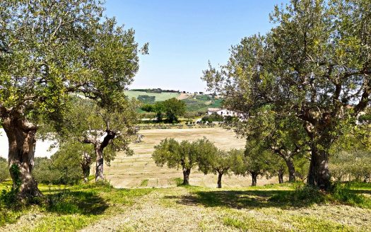 RIF: VP1293194 REALIZZA LA CASA DEI TUOI SOGNI