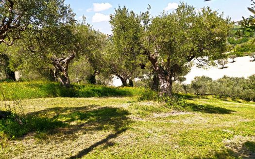 RIF: VP1293194 REALIZZA LA CASA DEI TUOI SOGNI