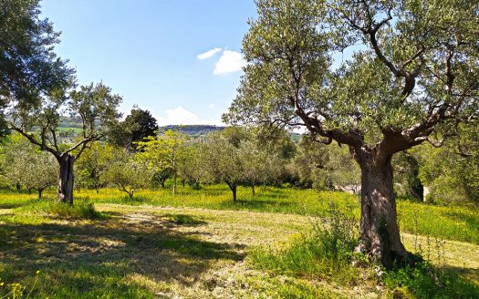 RIF: VP1293194 REALIZZA LA CASA DEI TUOI SOGNI