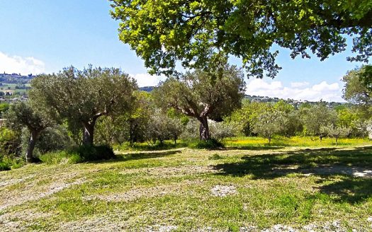 RIF: VP1293194 REALIZZA LA CASA DEI TUOI SOGNI