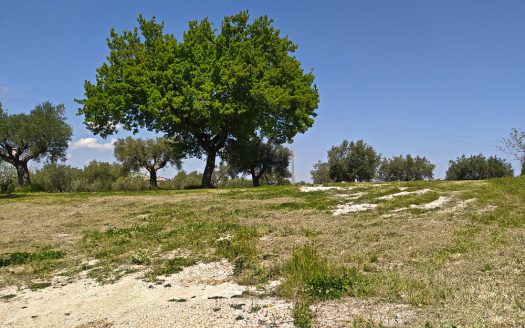 RIF: VP1293194 REALIZZA LA CASA DEI TUOI SOGNI