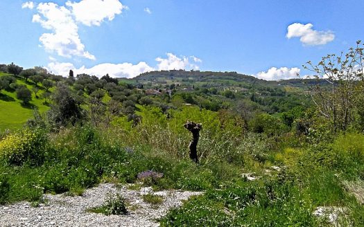 RIF: VP1293194 REALIZZA LA CASA DEI TUOI SOGNI