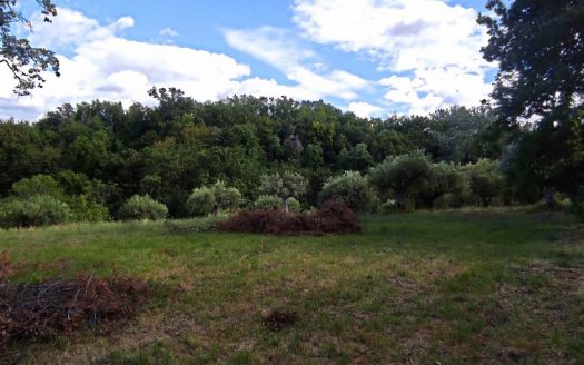 RIF: 783 ANTICO CASALE DI CAMPAGNA