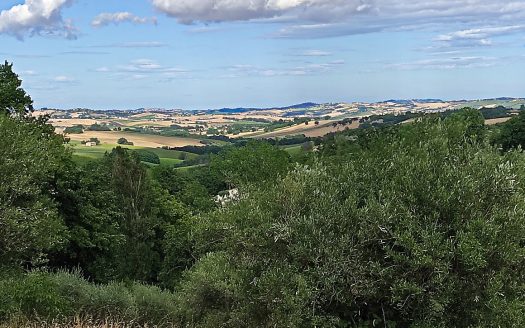 RIF: 783 ANTICO CASALE DI CAMPAGNA