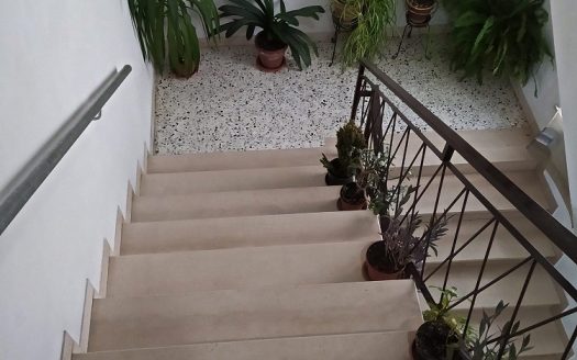 RIF: 732 ARIA DI CAMPAGNA