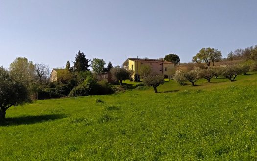 RIF: 732 ARIA DI CAMPAGNA