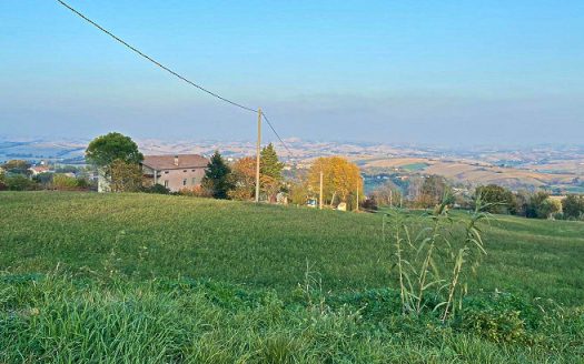 RIF: 732 ARIA DI CAMPAGNA