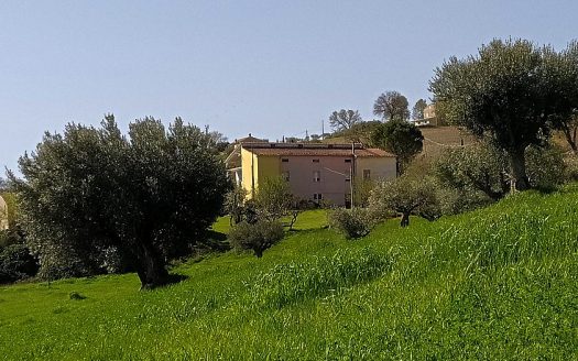 RIF: 732 ARIA DI CAMPAGNA