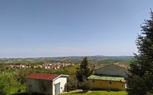 RIF: 732 ARIA DI CAMPAGNA
