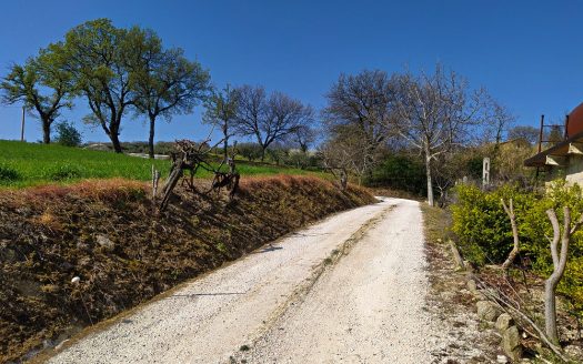 RIF: 732 ARIA DI CAMPAGNA