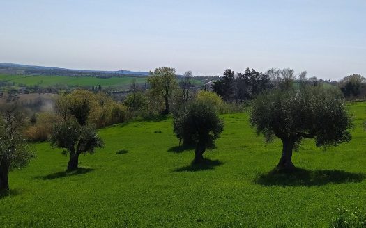 RIF: 732 ARIA DI CAMPAGNA