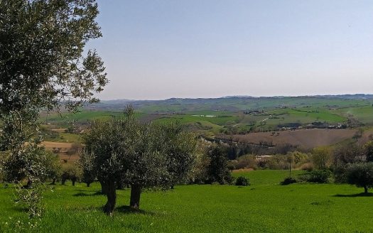 RIF: 732 ARIA DI CAMPAGNA