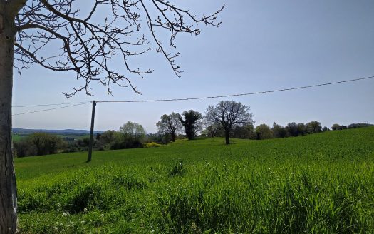 RIF: 732 ARIA DI CAMPAGNA