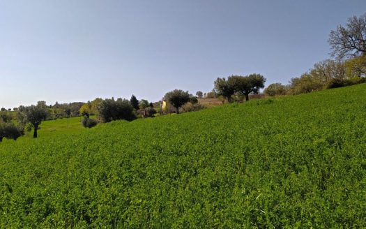 RIF: 732 ARIA DI CAMPAGNA