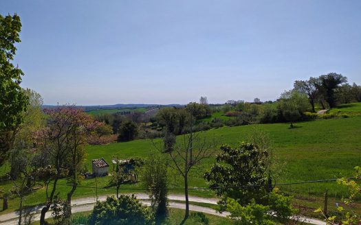 RIF: 732 ARIA DI CAMPAGNA