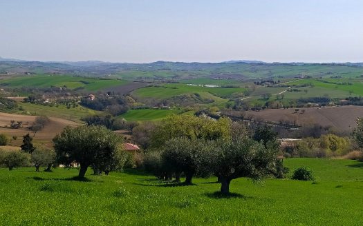 RIF: 732 ARIA DI CAMPAGNA