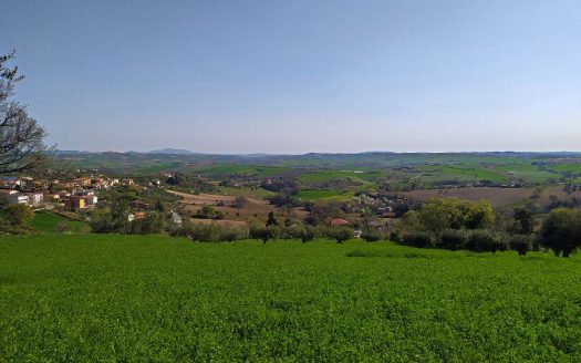 RIF: 732 ARIA DI CAMPAGNA