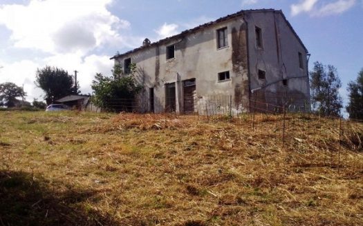 RIF: 194 CAMPAGNA CHE PASSIONE…