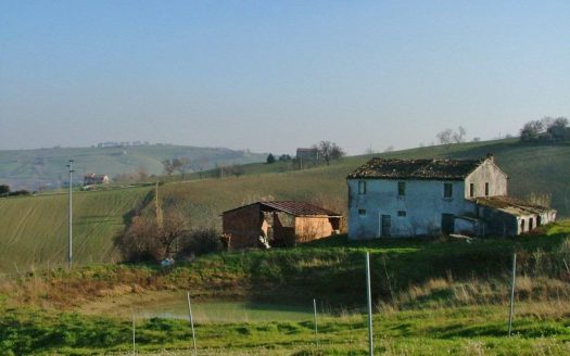 RIF: 194 CAMPAGNA CHE PASSIONE…