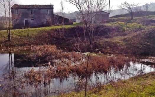 RIF: 194 CAMPAGNA CHE PASSIONE…