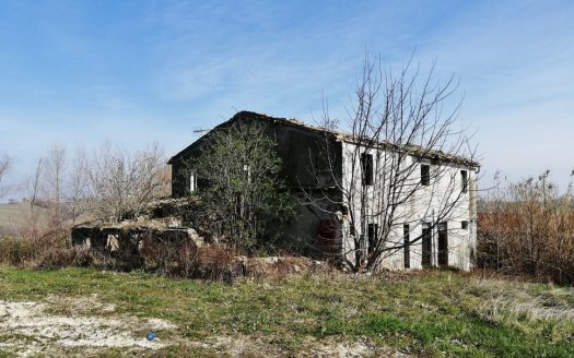 RIF: 194 CAMPAGNA CHE PASSIONE…