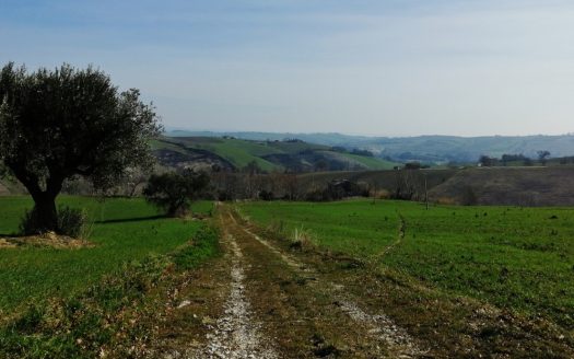 RIF: 194 CAMPAGNA CHE PASSIONE…