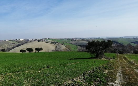 RIF: 194 CAMPAGNA CHE PASSIONE…