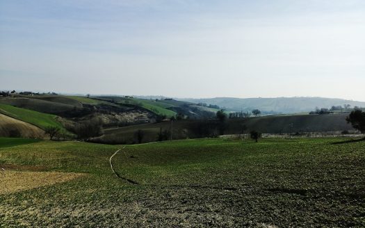 RIF: 194 CAMPAGNA CHE PASSIONE…