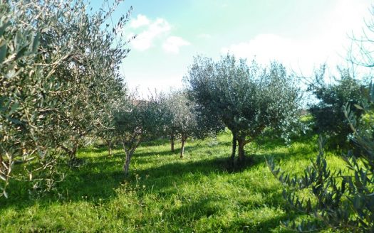 RIF: 308 AMPIO CASALE VICINO AI SERVIZI