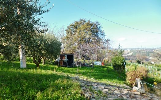 RIF: 308 AMPIO CASALE VICINO AI SERVIZI