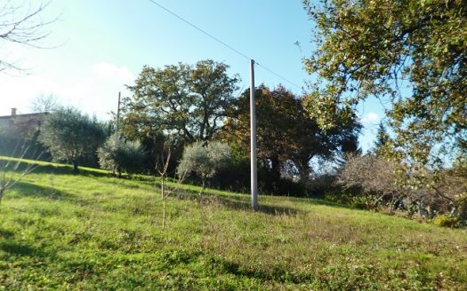 RIF: 308 AMPIO CASALE VICINO AI SERVIZI