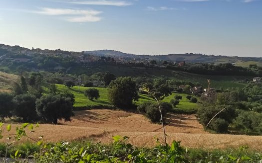 RIF. 830 TERRENO AGRICOLO IN POSIZIONE DOMINANTE