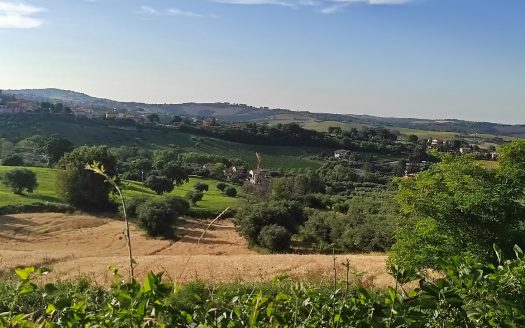 RIF. 830 TERRENO AGRICOLO IN POSIZIONE DOMINANTE