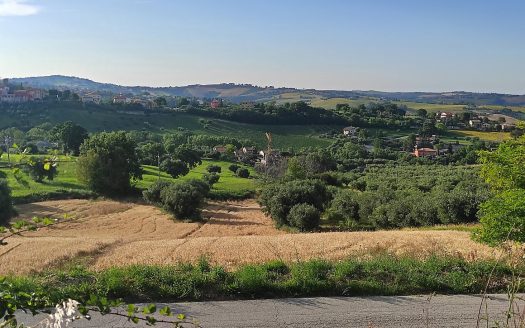 RIF. 830 TERRENO AGRICOLO IN POSIZIONE DOMINANTE
