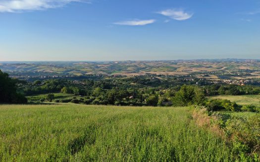 RIF. 830 TERRENO AGRICOLO IN POSIZIONE DOMINANTE