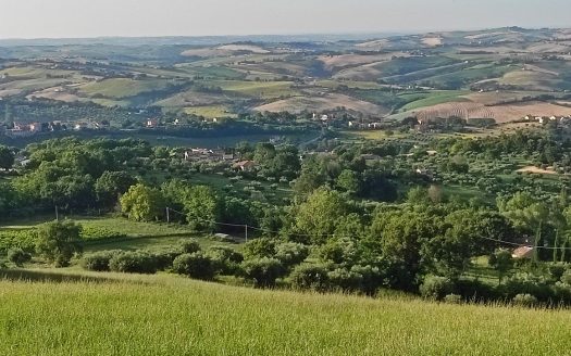 RIF. 830 TERRENO AGRICOLO IN POSIZIONE DOMINANTE