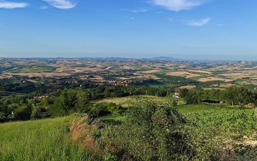 RIF. 830 TERRENO AGRICOLO IN POSIZIONE DOMINANTE