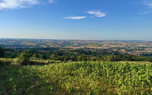 RIF. 830 TERRENO AGRICOLO IN POSIZIONE DOMINANTE