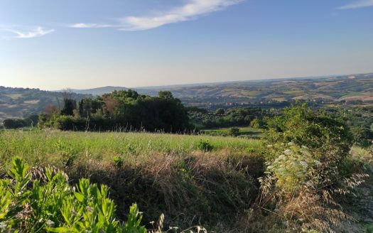 RIF. 830 TERRENO AGRICOLO IN POSIZIONE DOMINANTE