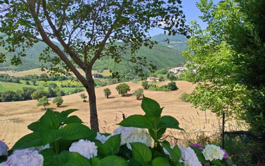 RIF: 831 PACE, NATURA, TRANQUILLITA’