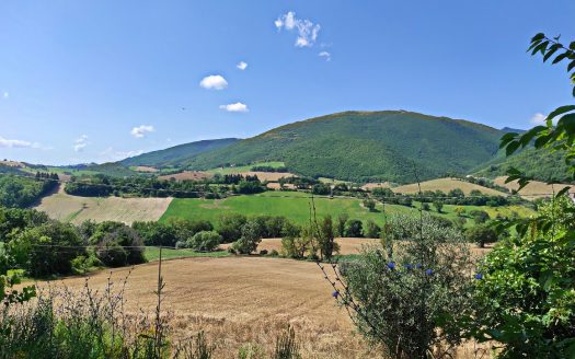 RIF: 831 PACE, NATURA, TRANQUILLITA’