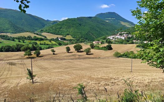 RIF: 831 PACE, NATURA, TRANQUILLITA’