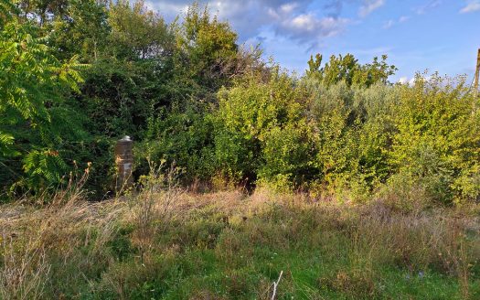 RIF. 842 – 2 CASE AL PREZZO DI 1!!!