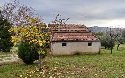 RIF. 848 CUPRAMONTANA – CASALE DI CAMPAGNA –