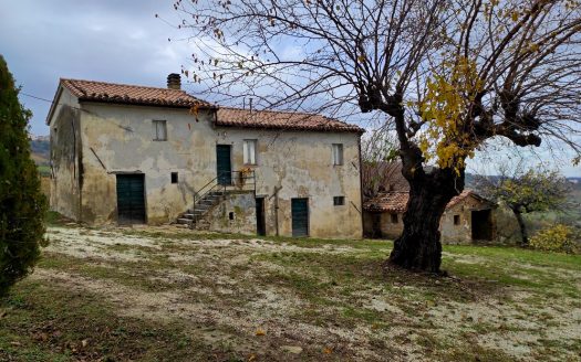RIF. 848 CUPRAMONTANA – CASALE DI CAMPAGNA –