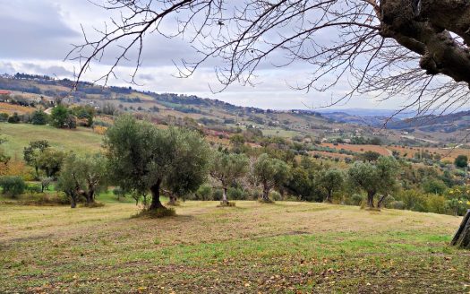RIF. 848 CUPRAMONTANA – CASALE DI CAMPAGNA –