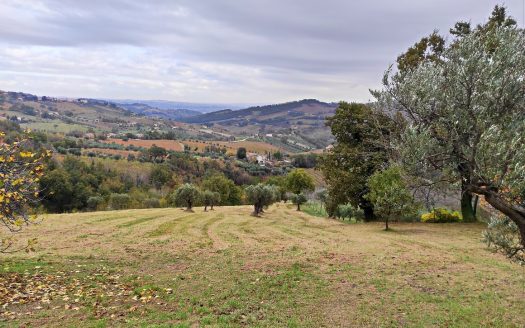 RIF. 848 CUPRAMONTANA – CASALE DI CAMPAGNA –
