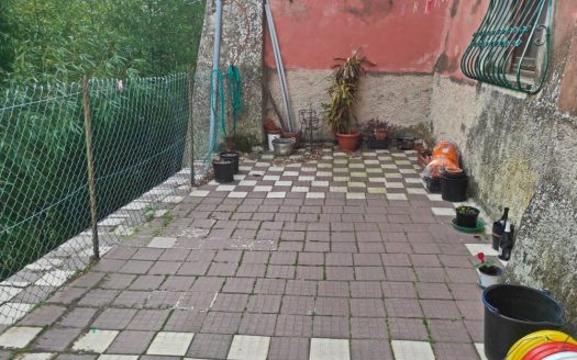 RIF. 871 CIELO TERRA CON CORTE