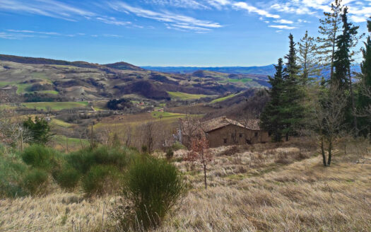 RIF. 874 IMMOBILE DEL XIV SECOLO